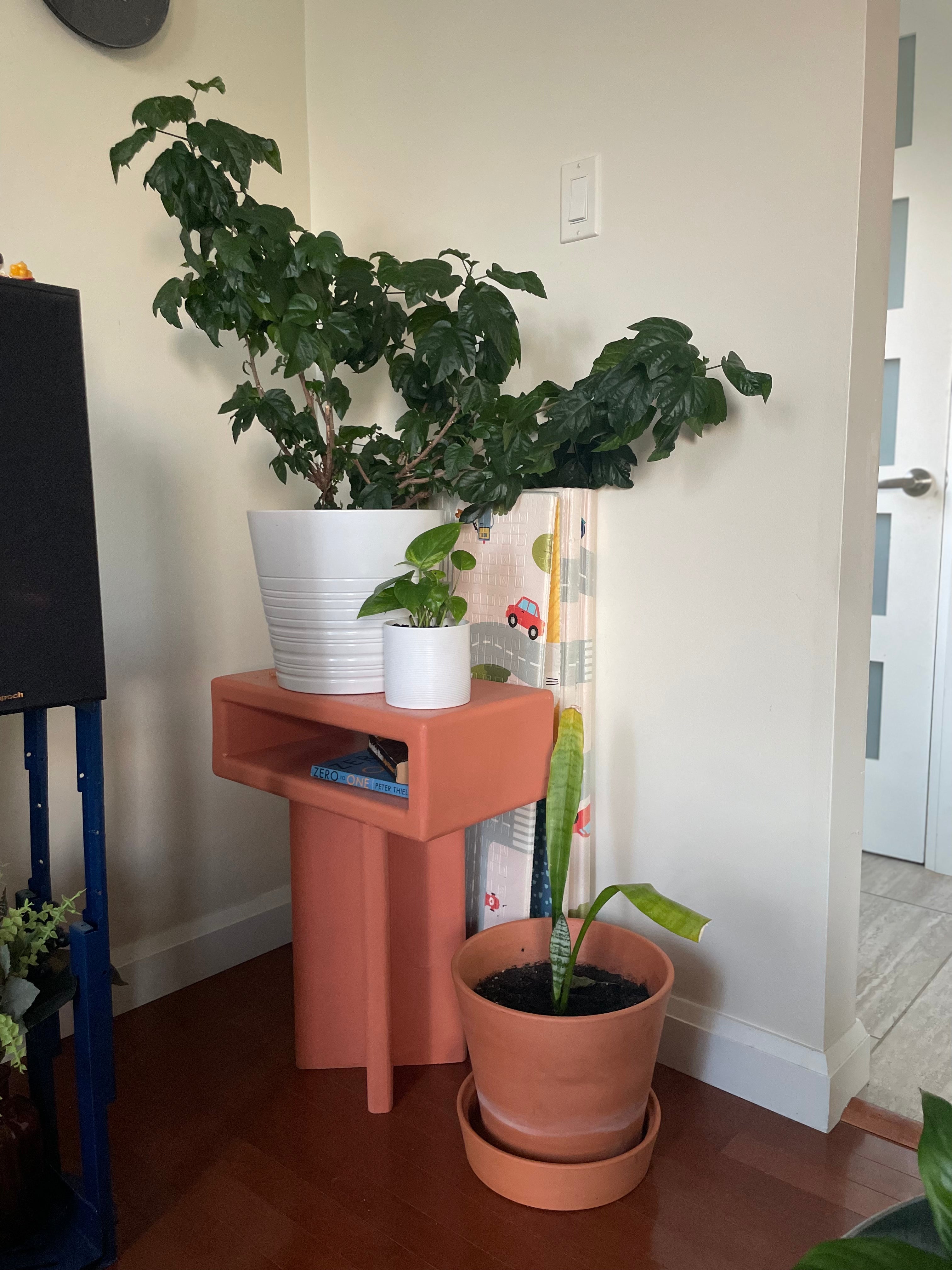 Unedited & Unstaged: How Customers Use Ravloon